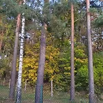 Cudodomek Loft Kolo Elku * Ełk