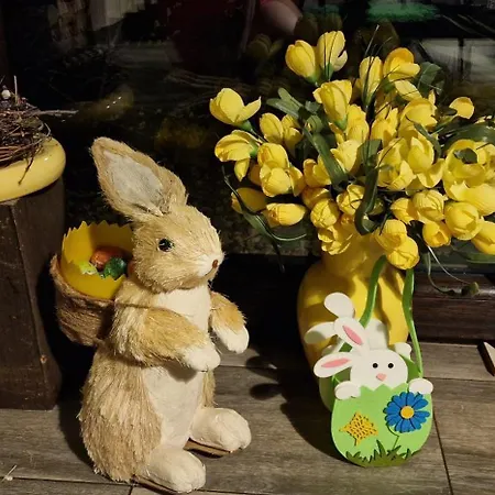 Cudodomek Loft Kolo Elku Ełk