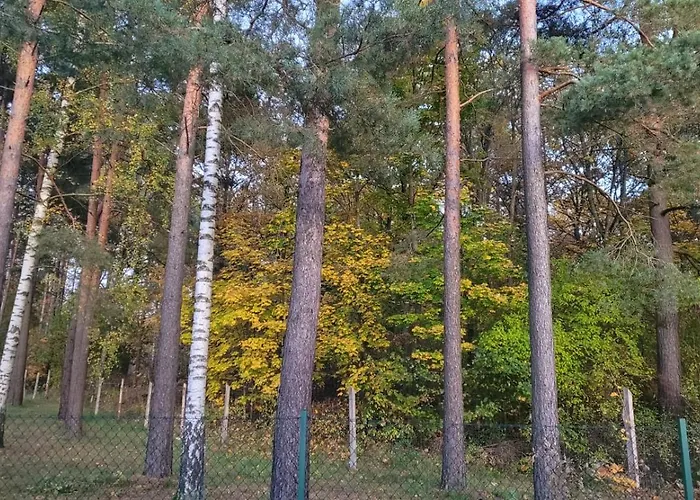 Cudodomek Loft Kolo Elku * Ełk