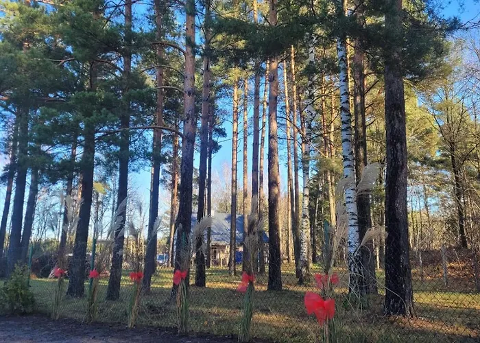 Cudodomek Loft Kolo Elku Ełk