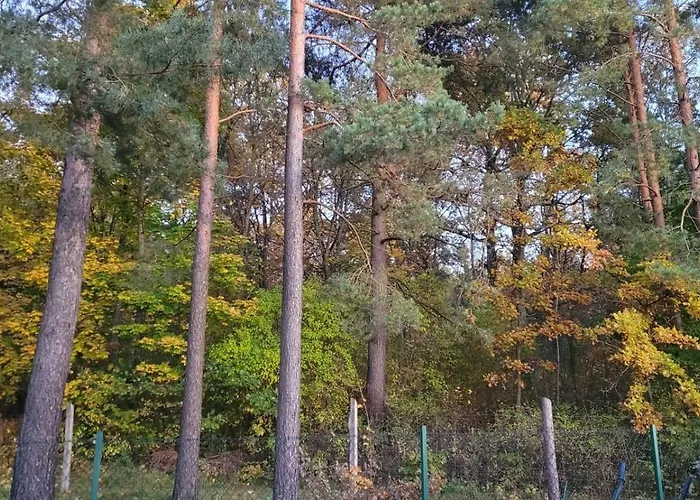 Vila Cudodomek Loft Kolo Elku Ełk