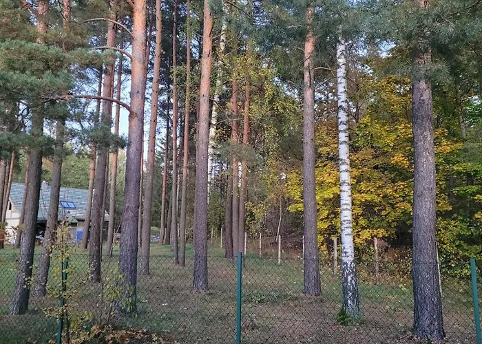 Cudodomek Loft Kolo Elku Vila *