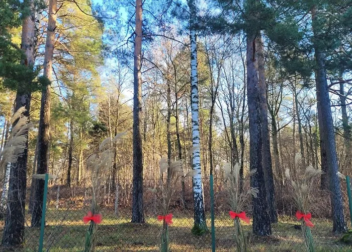 Cudodomek Loft Kolo Elku Vila Ełk